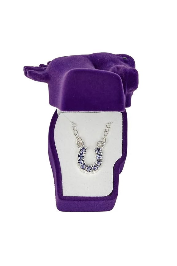 AWST Int'l Purple Rhinestone Horseshoe Necklace w/ Horse Head Gift Box