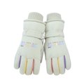 thumbnail image 1 of AWZXDE Adult Ski Gloves With Insulation Wind Proof Touchscreen Womens Winter Gloves For Motorcycle Bike Riding Couples Light Green, 1 of 3