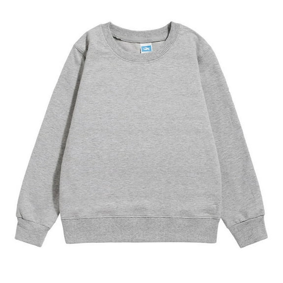 AWZXDE Boys Crewneck Sweatshirt Long Sleeve Solid Color Pullover Casual Playwear Soft Play Date Outfit for Kids Grey,3-4 Years
