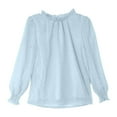 thumbnail image 1 of AWZXDE Girls Flocked Mesh Ruffle Blouse Long Sleeve With Elastic Wrist Elegant Stand Collar Top For Party Dress girls long sleeve shirts Light Blue，12-13 Years, 1 of 5