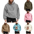 thumbnail image 1 of AWZXDE Oversized Hoodie Pet Carrier Pouch Sweatshirt with Pocket for Small Dogs Cats, 1 of 7