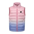 thumbnail image 1 of AWZXDE USB Rechargeable Heated Kids Vest Battery Powered Warm Winter Jacket For Cold Weather Activities Ages 4-12 Pink,7-8 Years, 1 of 4