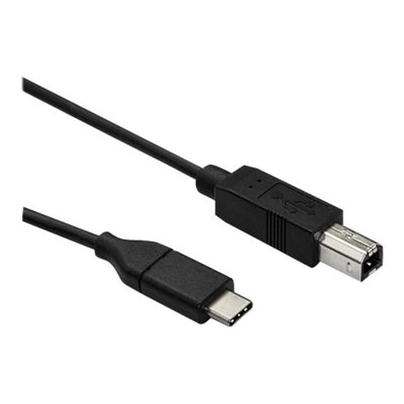 AXIOM USB 20 TYPEC TO USB TYPEB CABLE MM 10FT