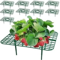 AXKIIN 10 Packs Square Strawberry Supports，Strawberry Growing Racks with 4 Sturdy Support Feet，Strawberry Supports for Garden, Strawberry Plant Support Prevent Strawberry Rot. （Square）