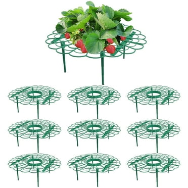 AXKIIN 10 Packs Strawberry Supports, Strawberry Planting Rack with 4 Sturdy Support Feet, Strawberry Supports for Garden, Strawberry Plant Support Prevent Strawberry Rot.