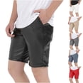 thumbnail image 1 of AXXD Black Shorts Men Casual Summer Plus Size Men's Faux Leather Shorts with Pocket Pure Color Beach Cargo Shorts New Arrival, 1 of 6