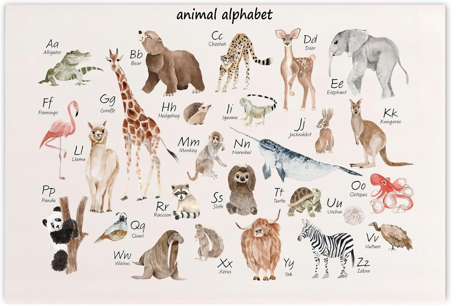 AXXPosters Animal Alphabet Chart Kids Educational Poster Animal