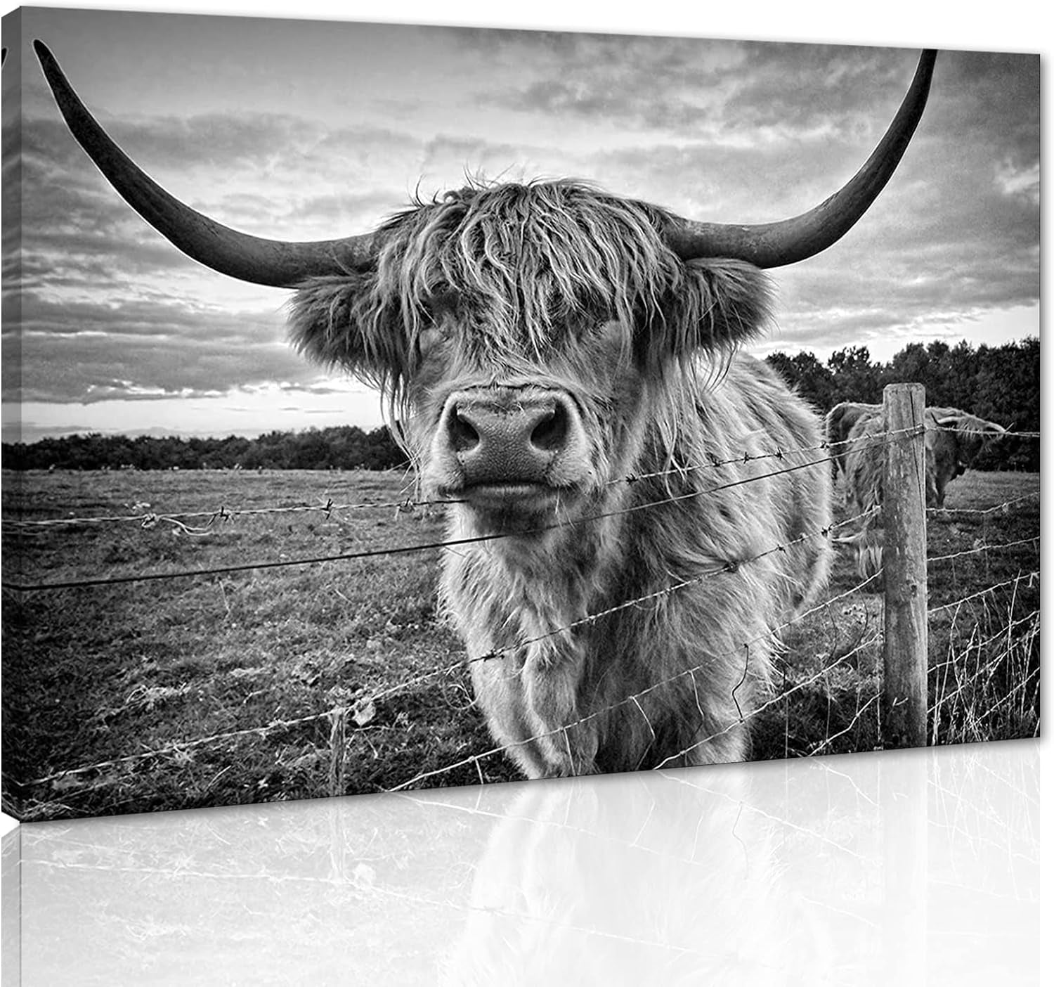 AXXPosters-Banksy Graffiti Freedom Highland Cow Picture Canvas Wall Art ...