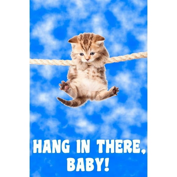 AXXPosters Laminated Hang In There Baby! Kitten Hanging From Rope Retro Motivational Inspirational Teamwork Quote Inspire Quotation Positivity Support Motivate Good Vibes Poster Dry Erase Wall Art