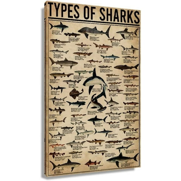 AXXPosters Shark Wall Art Framed Pictures Prints Knowledge Poster Decorations For Wall Home Decor Animals Canvas Chart Poster Office Artwork Modern Vintage Painting Decor Framed (16x24 inch)