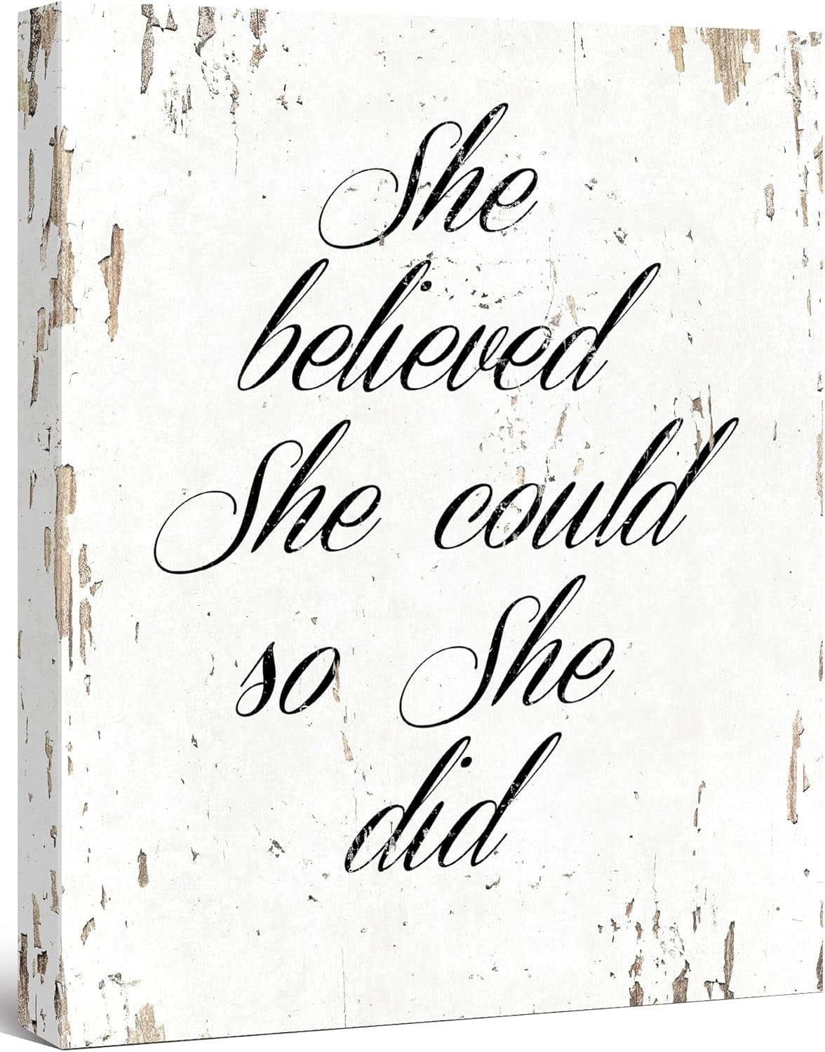 AXXPosters-She Believed She Could So She Did - - Quote Motivational Wall Art Canvas Print Home ...
