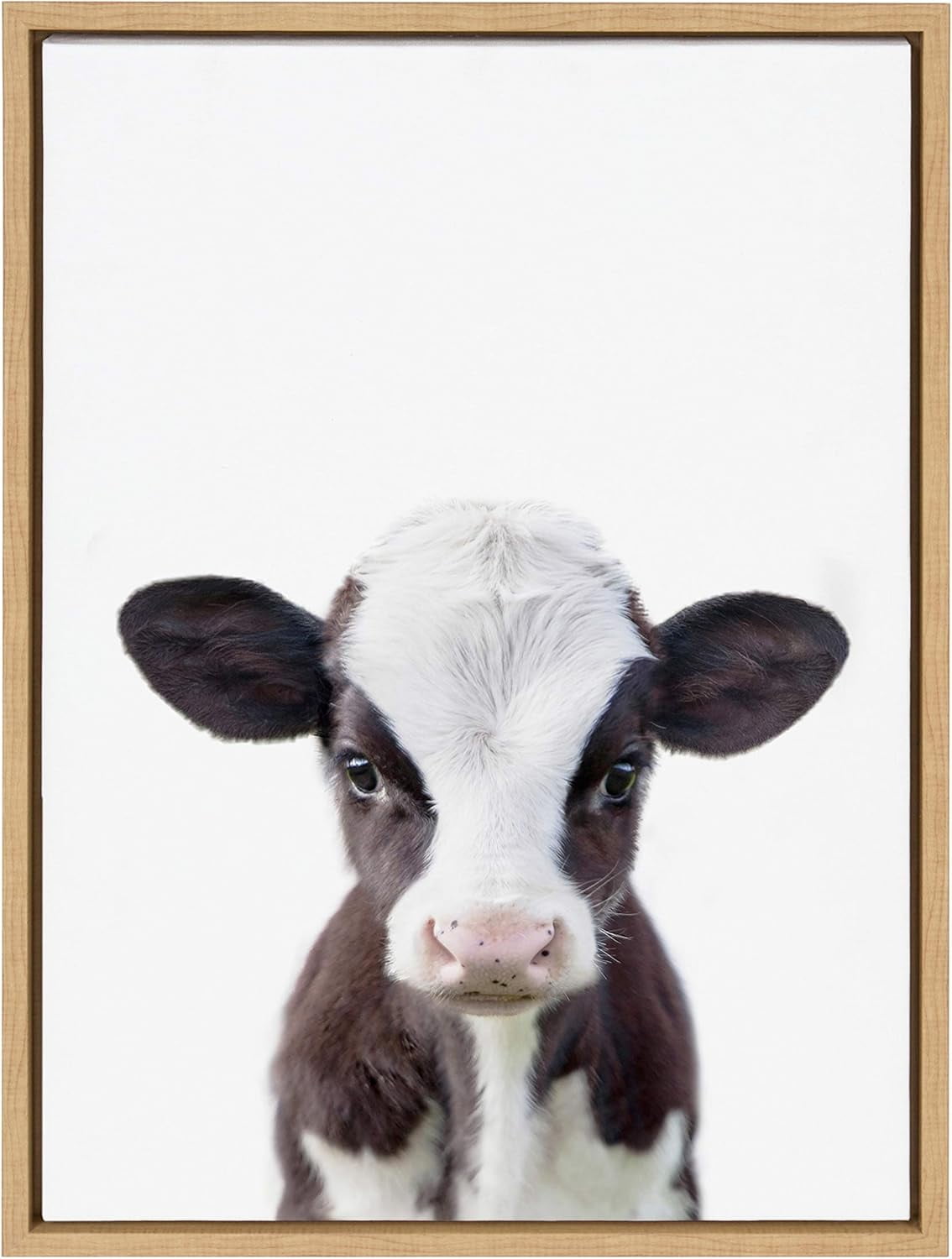 Natural Framed Baby Cow Portrait Canvas Art, 26.69" x 21.63"