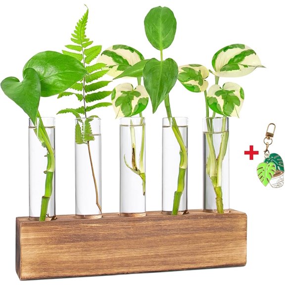 AXYEW Propagation Station, Propagation Tubes, Gifts for Lovers, Holder Test Tube Vase Office Des Garden Decor for Her Mom Women Hydroponic Vase Box