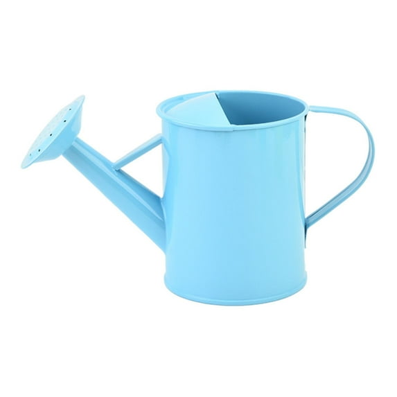 Summercome Watering Can for Outdoor Plants and Indoor Plants,1 Gallon Metal Watering Can for Garden Flower, Steel Metal Water Can Watering Pot with Sprinkler Head, Blue