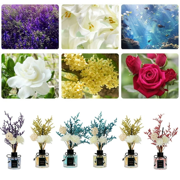 AYYUFE 50ml Glass Diffuser Plant Rattan Deodorizing Decorative Odor Removal Dry Flower Flameless Aromatherapy Ornament Bathroom Supply