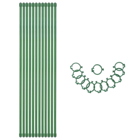AYYUFE 6Pcs/12pcs Plant Support Stakes with Rings Floral Arrangements Growing Vegetables Green Plant Support Sticks Garden Supplies