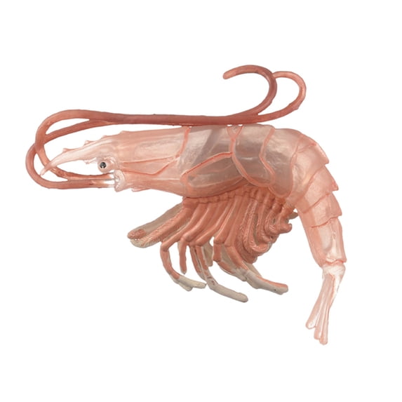AYYUFE High Simulation Shrimp Squid Ocean Animal Model Figurine Table Kids Toy