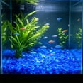 thumbnail image 1 of AYktou 100 Pcs/5-9mm Glow in The Dark Rocks for Fish Tank Aquarium Rhombus Luminous Gravel, Fluorescent Fish Tank Gravel Glowing Stones Noctilucent Substrate for Potted Fish Tank Bonsai, 1 of 6