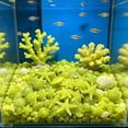 thumbnail image 1 of AYktou 50 Pcs/1.2 Inch Sea Glow in The Dark Rocks for Fish Tank, Aquarium Glow Stones Rocks Luminous Gravel, Fluorescent Stones Noctilucent Substrate for Potted Fish Tank Bonsai, 1 of 6