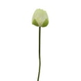 thumbnail image 1 of AYktou Artificial Flower Lilys Lotuses, Simulation Lotuses Flower Lotuses Leaf Flower Buds, Vase Filler Water Lilys Plants Hall Decorative Flowers for Home TV Cabinet Fish Tank Arrangement, 1 of 6