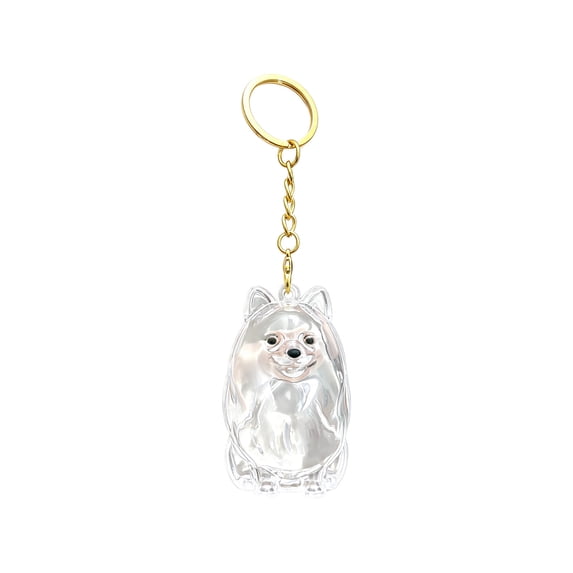 AYktou Cat Hair Keychain, Cat Hair Keepsake Bottles, Gift Pet Hair Keychain for Collecting Hair, Dogs Hair Memorial Pet Lovers Pendant Hair Storage Box Locket Keyring for Dogs Cats Pet Memorial