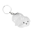 thumbnail image 1 of AYktou Pet Hair Collector Keychains, 2.4×2.8 Inch Clear Bottle Rabbit Hair Collector Cute Keyring Bag Charms Car Hanging Puppy Bunny Cat Hair Collector Collecting Hair Keepsake Portable Pendants, 1 of 8
