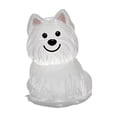 thumbnail image 1 of AYktou Pet Hair Collector Keychains, 2 Inch Transparent Bottle Dog Hair Collector Cute Keyring Bag Charms Car Hanging Puppy Rabbit Cat Hair Collector Collecting Hair Keepsake Portable Pendants, 1 of 2