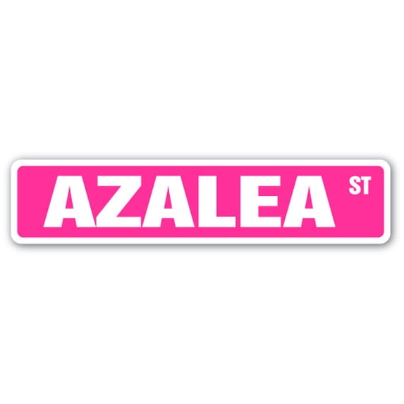 AZALEA Street Sign Childrens Name Room Sign | Indoor/Outdoor | 30" Wide