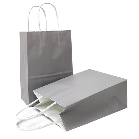 AZOWA Gift Bags Small Kraft Paper Bags with Handles (8.2 x 5.9 x 3.1 in, Grey, 25 Pcs)
