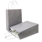 AZOWA Gray Gift Bags Small Kraft Paper Bags with Handles 5 x 3.1 x 8.2 in, Grey, 12 Pcs