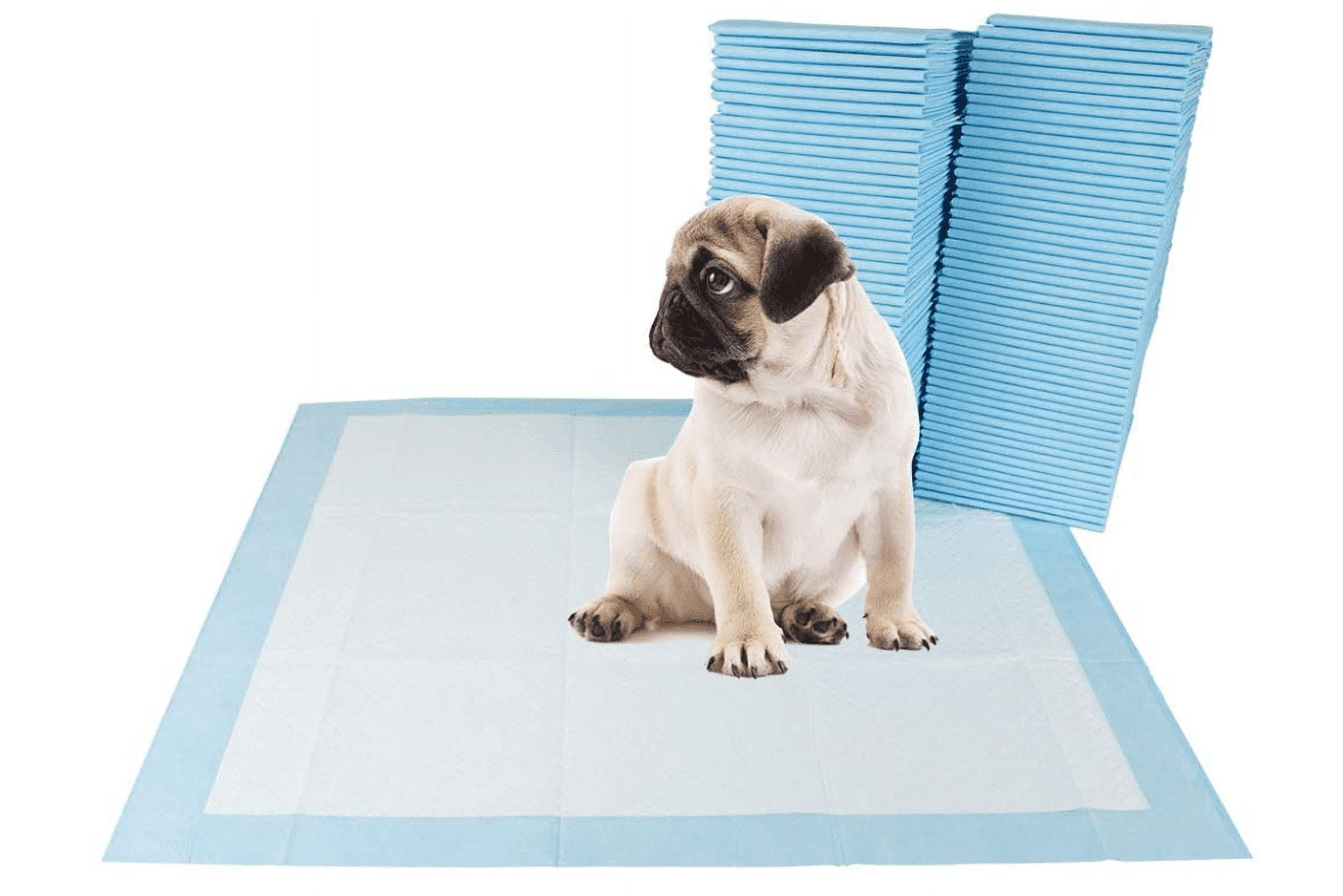 22'' x 22'' Blue Disposable Dog Training Pads with Rapid-Dry Technology