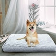 thumbnail image 1 of AZXY 20"X16"X2" Dog Beds Under $20,Washable Dog Bed Medium,Cute Warm Small Cat Bed,Chew Proof Cotton Funny Fuzzy Pet Beds for Cats Clearance, 1 of 6