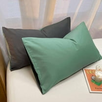 AZXY 2PC Pillowcases under $10,Microfiber Pillowcases,Pillow Case for Hair and Skin Care,Wrinkle-Free Pillow Covers Clearance Not Queen/Standard But 19x29