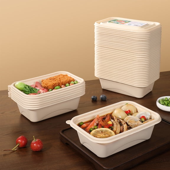 AZXY Biodegradable Disposable Bento Box, Starch Based Portable Lunch Container, Eco Friendly Leakproof Snack Bento Box for Takeaway Outdoor Dinner Beige