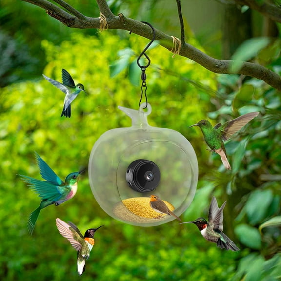 AZXY Bird Feeders with Camera,Bird Feeders Outdoor,Plastic Birdfeeders Outside Hanging,Hd 1080p Night-Version Video Plastic Window Feeders for Birds Support Wifi Remote