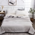 thumbnail image 1 of AZXY Cooling Comforter,Summer Blankets for Beds, Queen Breathable Cooling Blankets for Summer,Summer Comforter Lightweight,Gray Queen(180x200cm), 1 of 9