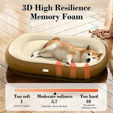 AZXY Dog Beds for Small Dogs,Pet Bed for Crate On Clearance,Indestructible Washable Chew Proof Comfort Dog Bed Medium,Waterproof Pet Mats for Sleeping