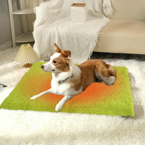 AZXY Dog Beds for Medium Sized Dogs,Washable Dog Bed Medium,Cute Warm Small Cat Bed,Chew Proof Cotton Funny Fuzzy Pet Beds for Cats Clearance