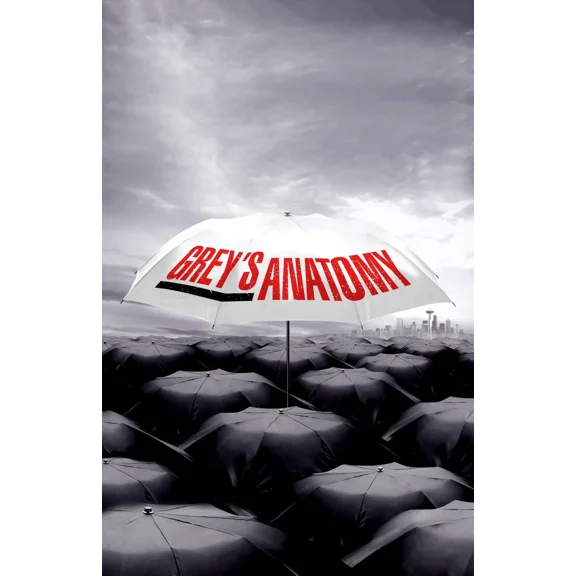 Aa1747 Greys Anatomy Show By Shonda Rhimes 2005 Umbrella Movie Poster 11X17