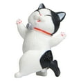 AaSFJEG Women Cute Looks Back and Smiles Cats Turns Around Cats