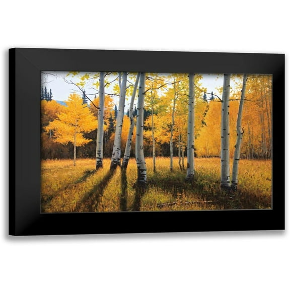 Aagaard, Douglas 14x11 Black Modern Framed Museum Art Print Titled - Gentle Rise