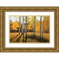 thumbnail image 1 of Aagaard, Douglas 24x17 Gold Ornate Wood Framed with Double Matting Museum Art Print Titled - Gentle Rise, 1 of 4