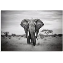 Aaheei African Wild Elephant Wall Art Black And White Animal Landscape Inspirational Poster Canvas Print Modern Painting Artwork Picture for Living Room Decor