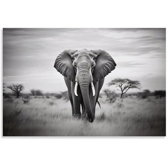 Aaheei African Wild Elephant Wall Art Black And White Animal Landscape Inspirational Poster Canvas Print Modern Painting Artwork Picture for Living Room Decor