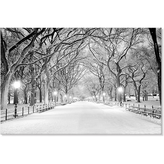 Aaheei Beautiful Winter Wall Art Landscape Snowy Central Park Canvas Art Modern Cool Wall Pictures Giclee Print on Canvas Photo Artwork for Bedroom Living Room Home Decor
