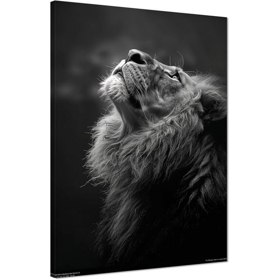 Aaheei Black and White Pictures Wall Decor Lion Canvas Wall Art for Living Room Decor Modern Wild Animal Posters Canvas Prints Artwork Ready to Hang