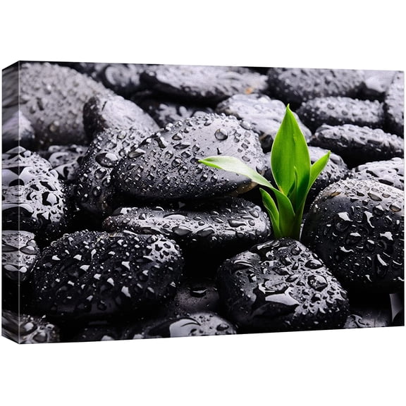 Aaheei Canvas Print Wall Art Raindrops on Black Rocks with Sprouting Plant Floral Nature Photography Realism Bohemian Scenic Relax/Calm Cool for Living Room, Bedroom, Office