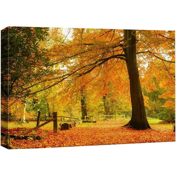 Aaheei Canvas Print Wall Art Yellow & Orange Autumn and Fall Forest Floral Nature Photography Realism Rustic Scenic Relax/Calm Multicolor for Living Room, Bedroom, Office
