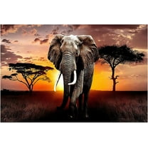 Aaheei Canvas Wall Art Elephant Picture African Wild Animals Artwork Painting Print for Living Room Bedroom Kitchen Home and Office Wall Decor