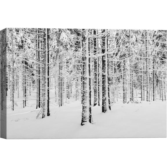 Aaheei Canvas Wall Art Winter Snow Covered Birch Trees on The Hillside Nature Forest Modern Art Traditional Scenic Dramatic Black and White for Living Room, Bedroom, Office